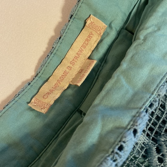 Adorable Champagne & Strawberry skirt by Anthropology. - Picture 3 of 7